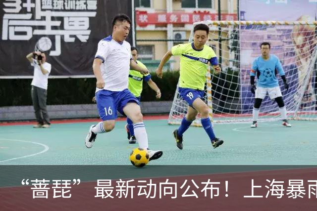 “蔷琵”最新动向公布！上海暴雨、大风蓝色预警，新台风“烟花”生成！