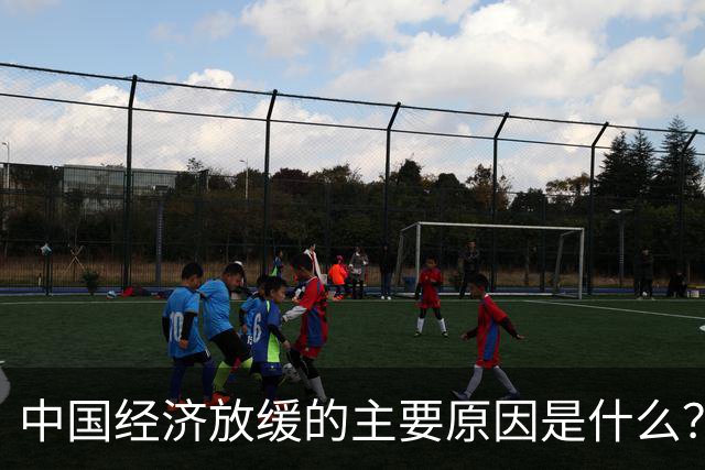中国经济放缓的主要原因是什么？