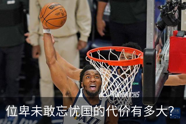 位卑未敢忘忧国的代价有多大？