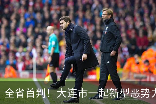 全省首判！大连市一起新型恶势力犯罪案件今日宣判