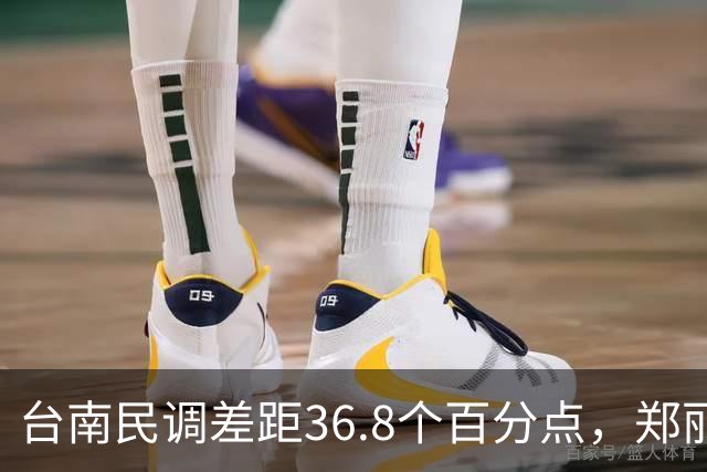 台南民调差距36.8个百分点，郑丽文的翻盘希望在高雄？