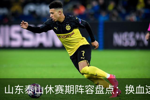 山东泰山休赛期阵容盘点：换血这道大题