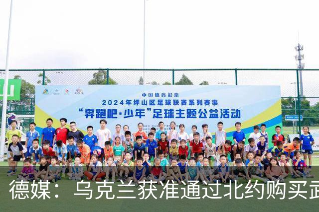 德媒：乌克兰获准通过北约购买武器