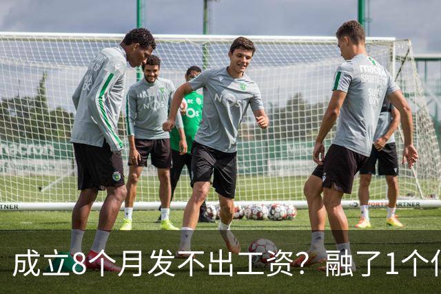 成立8个月发不出工资？融了1个亿的机器人公司，把行业遮羞布掀了