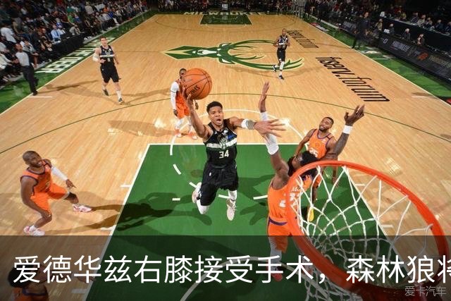 爱德华兹右膝接受手术，森林狼将一次性解决膝伤，预计休战2个月