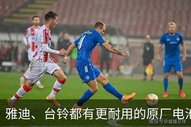 雅迪、台铃都有更耐用的原厂电池，为什么修车铺只换天能、超威？